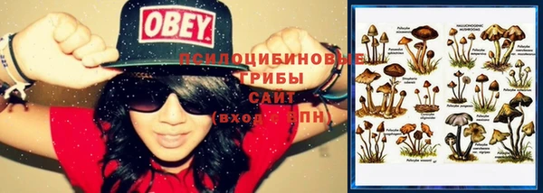 хмурый Горно-Алтайск
