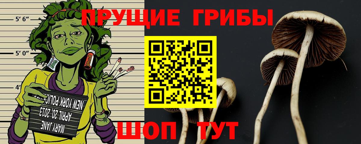 Псилоцибиновые грибы прущие грибы  Вход с VPN  Заинск  закладки  Галлюциногенные грибы мицелий 